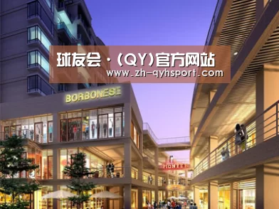 案例展示一(图1)