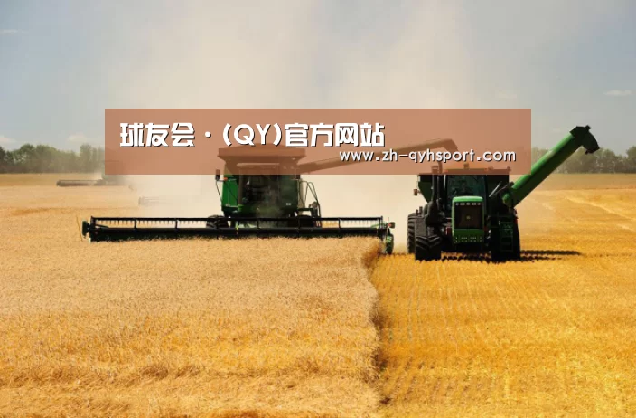 产品名称八(图1)