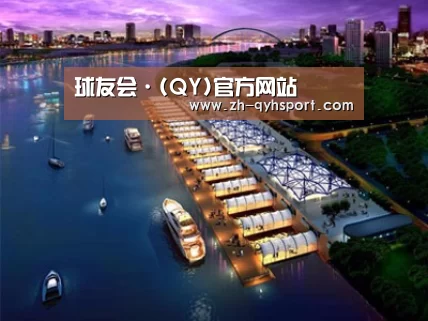 案例展示八